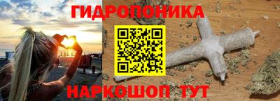 крисы Сланцы