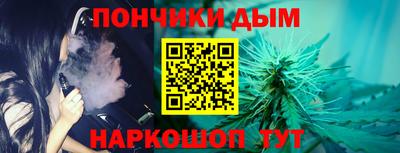 крисы Сланцы