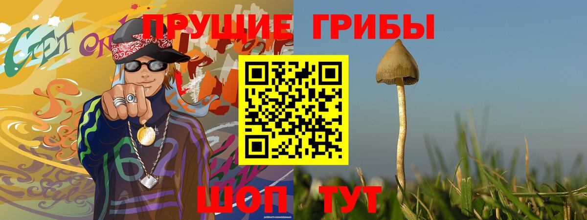 Псилоцибиновые грибы мицелий Полысаево