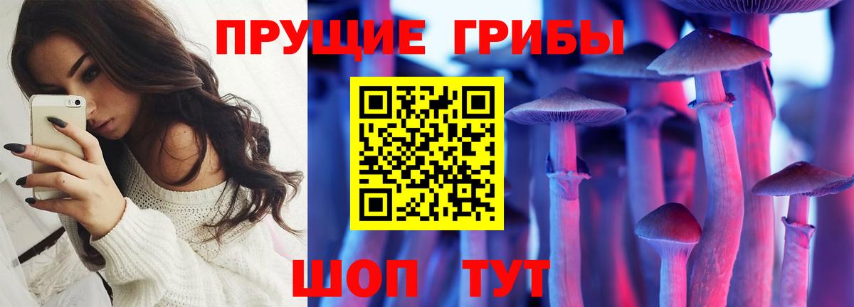 Полысаево  Галлюциногенные грибы GOLDEN TEACHER  Вход с VPN  Псилоцибиновые грибы GOLDEN TEACHER 